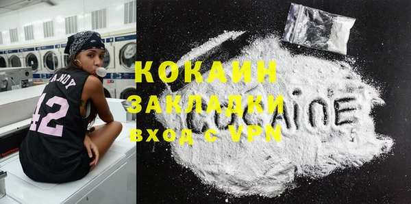 соль ск Абаза