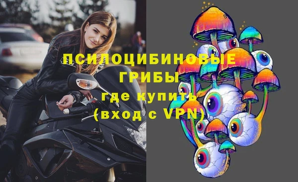 мяу мяу мука Приозерск
