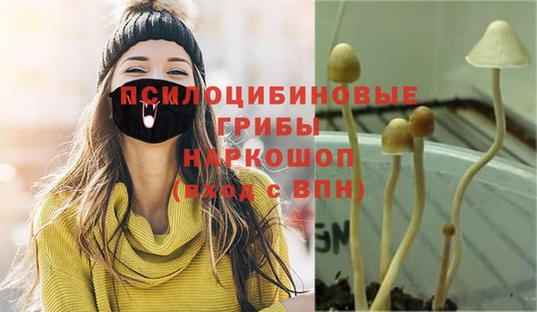 соль ск Абаза
