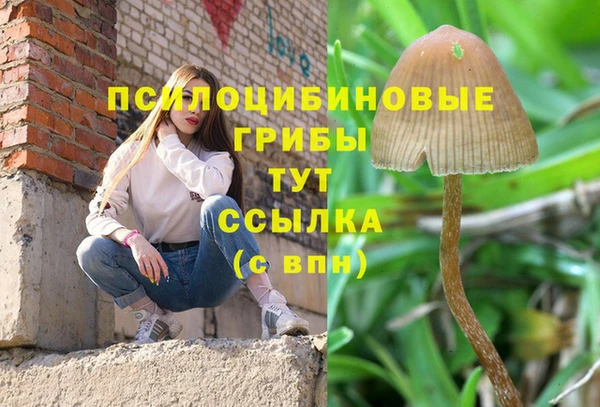СК Абдулино