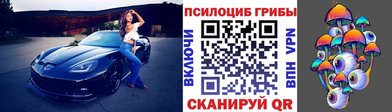 Псилоцибиновые грибы GOLDEN TEACHER  Ак-Довурак 